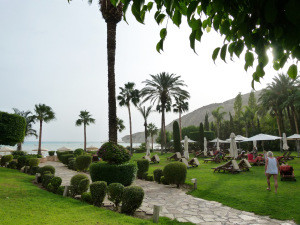 The Hotel Garden