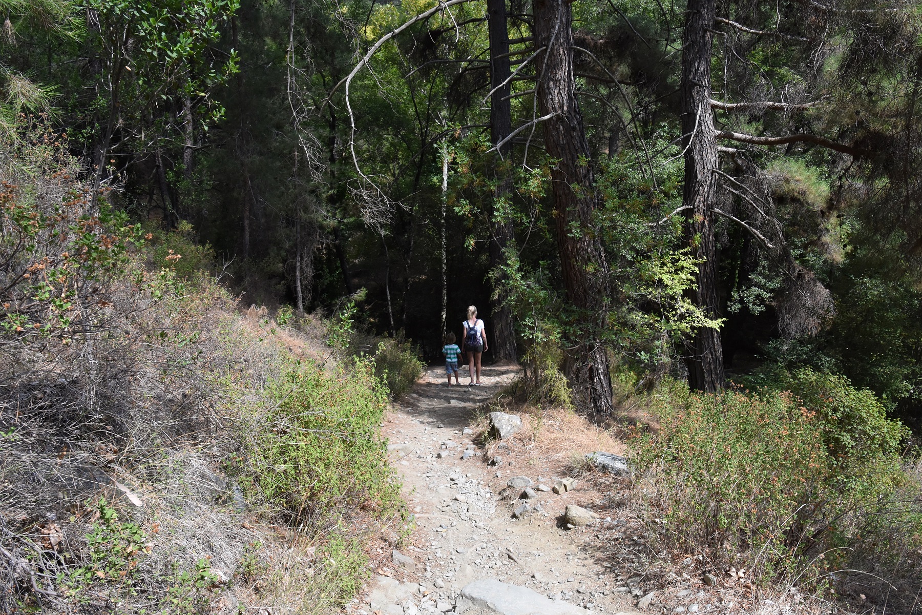 Myllomeris Waterfalls and Nature Trail