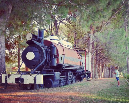 Goobie’s Great Train Hunt: His Biggest Discovery Yet