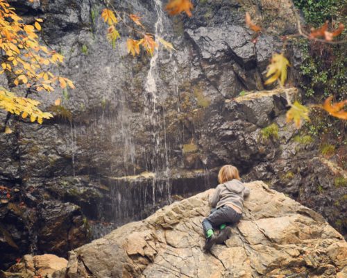 Autumn Leaves and the Caledonia Falls