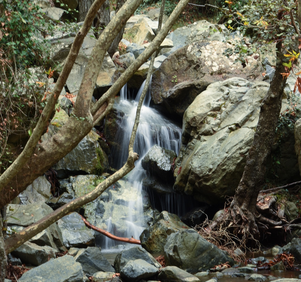 Caledonia Falls