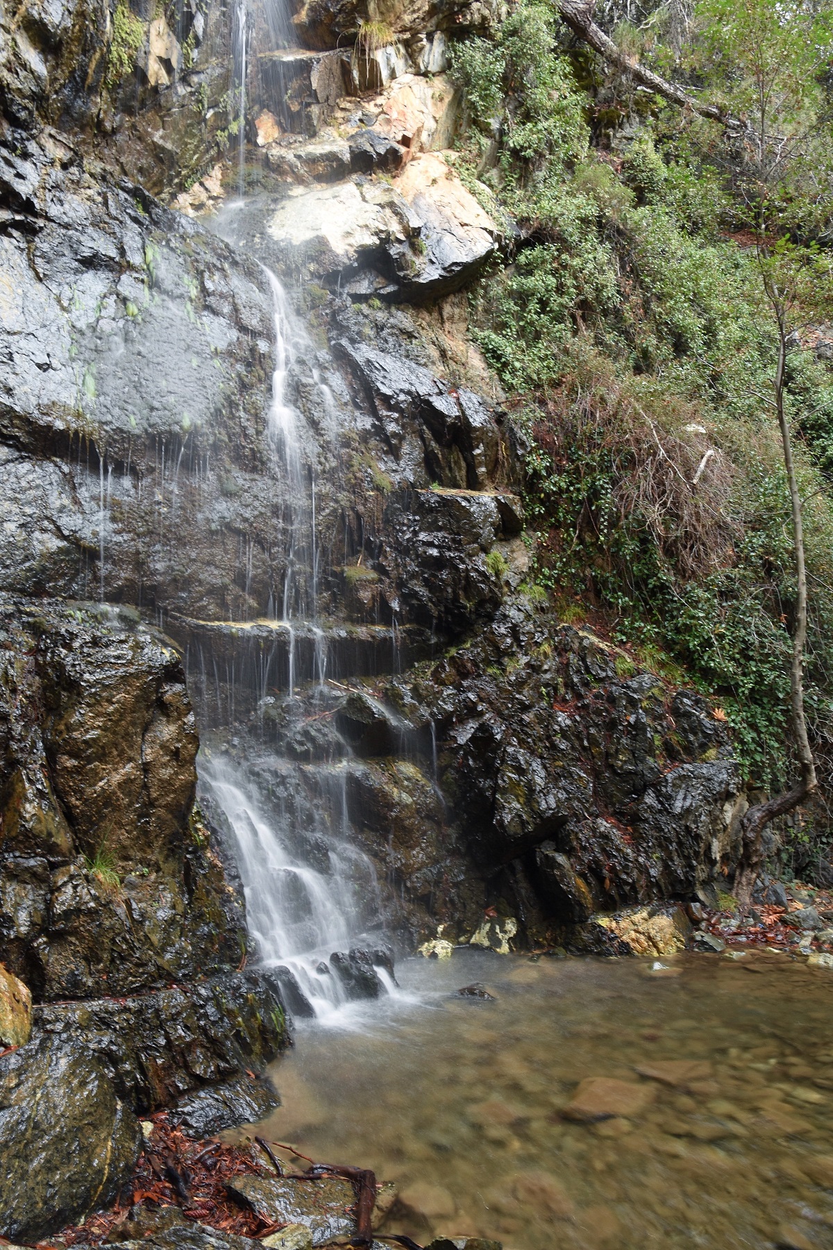 Caledonia Falls