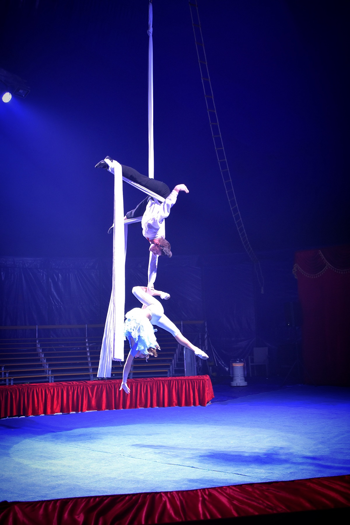 Cyprus Circus