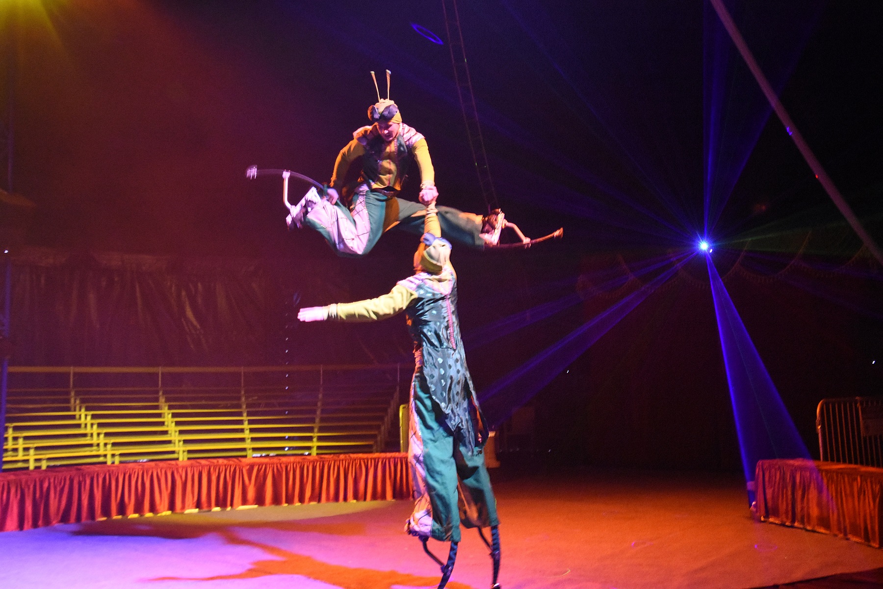 Cyprus Circus