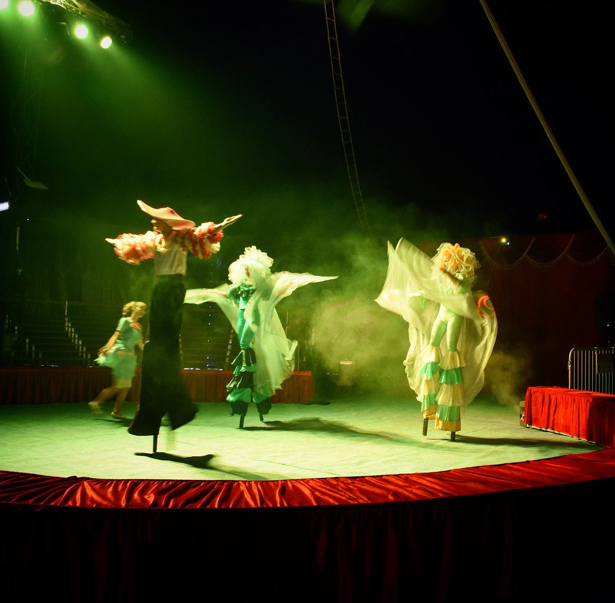 Cyprus Circus