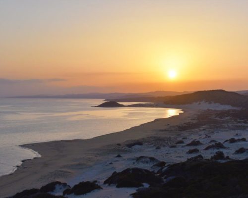 Golden Sands & Donkeys – The Tip of the Karpaz Peninsula