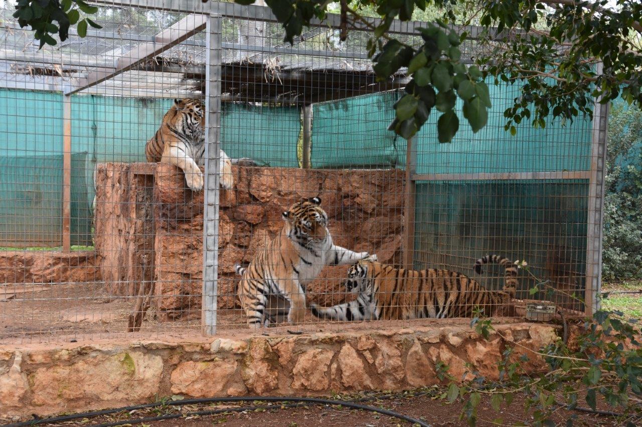 Paphos Zoo