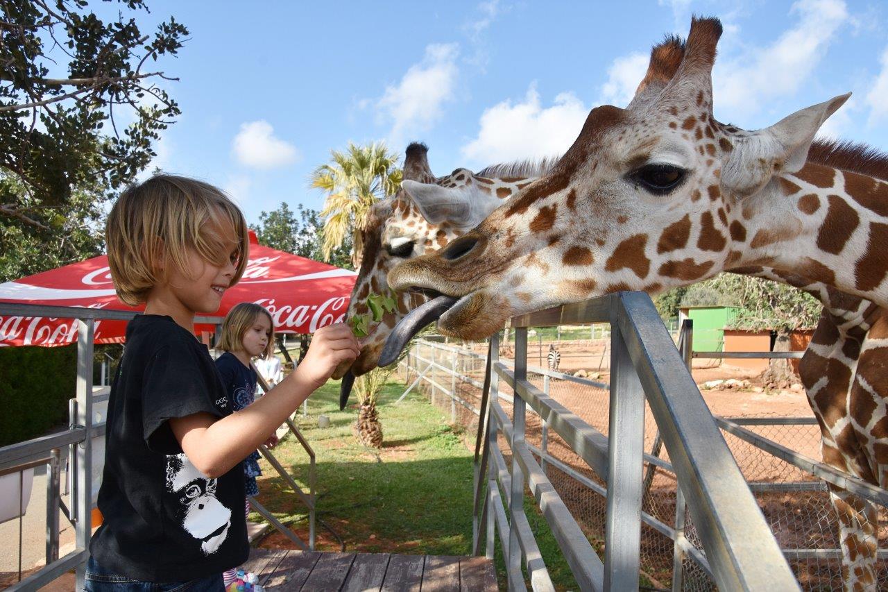 Paphos Zoo