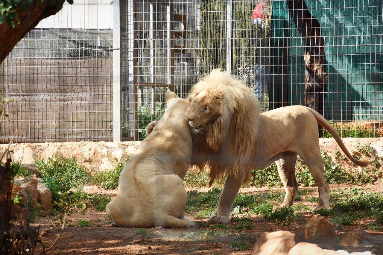 Paphos Zoo