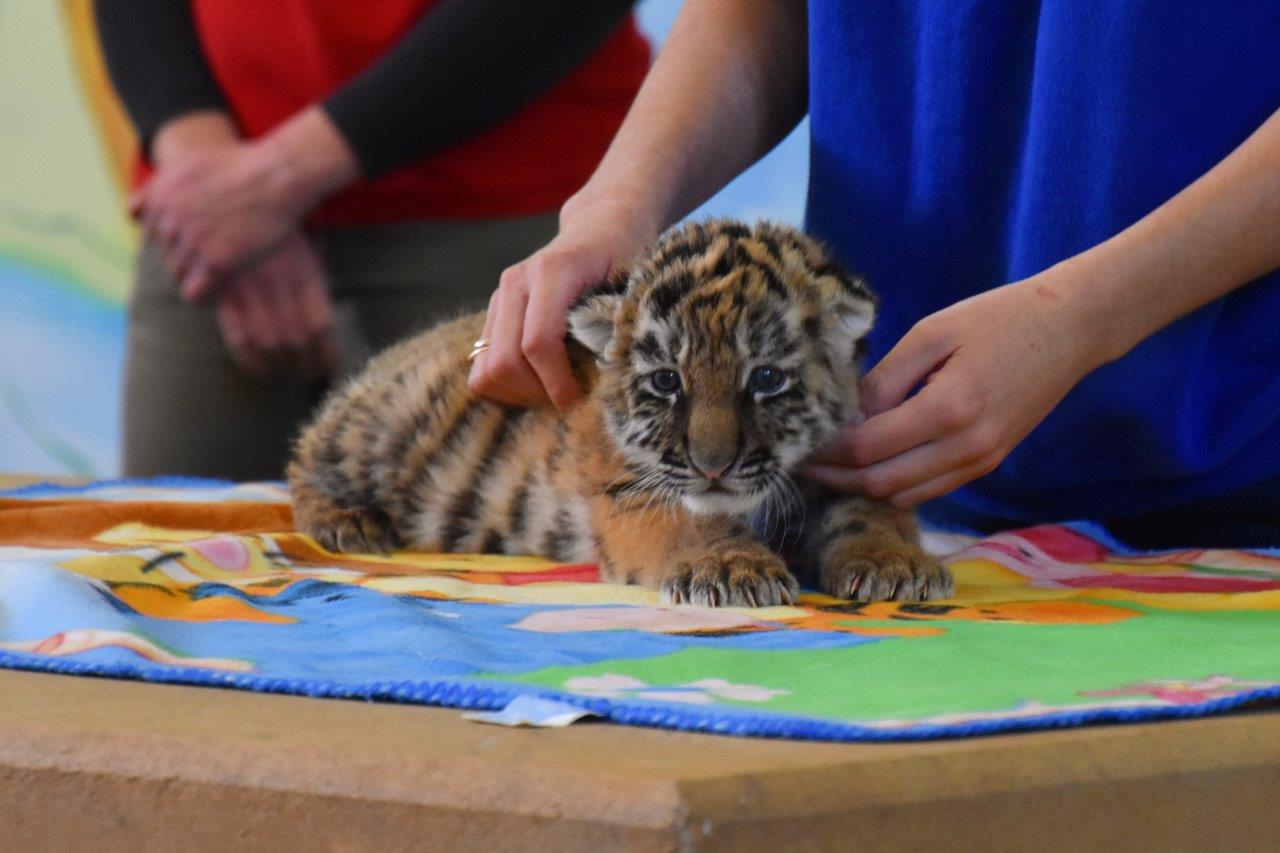 Paphos Zoo