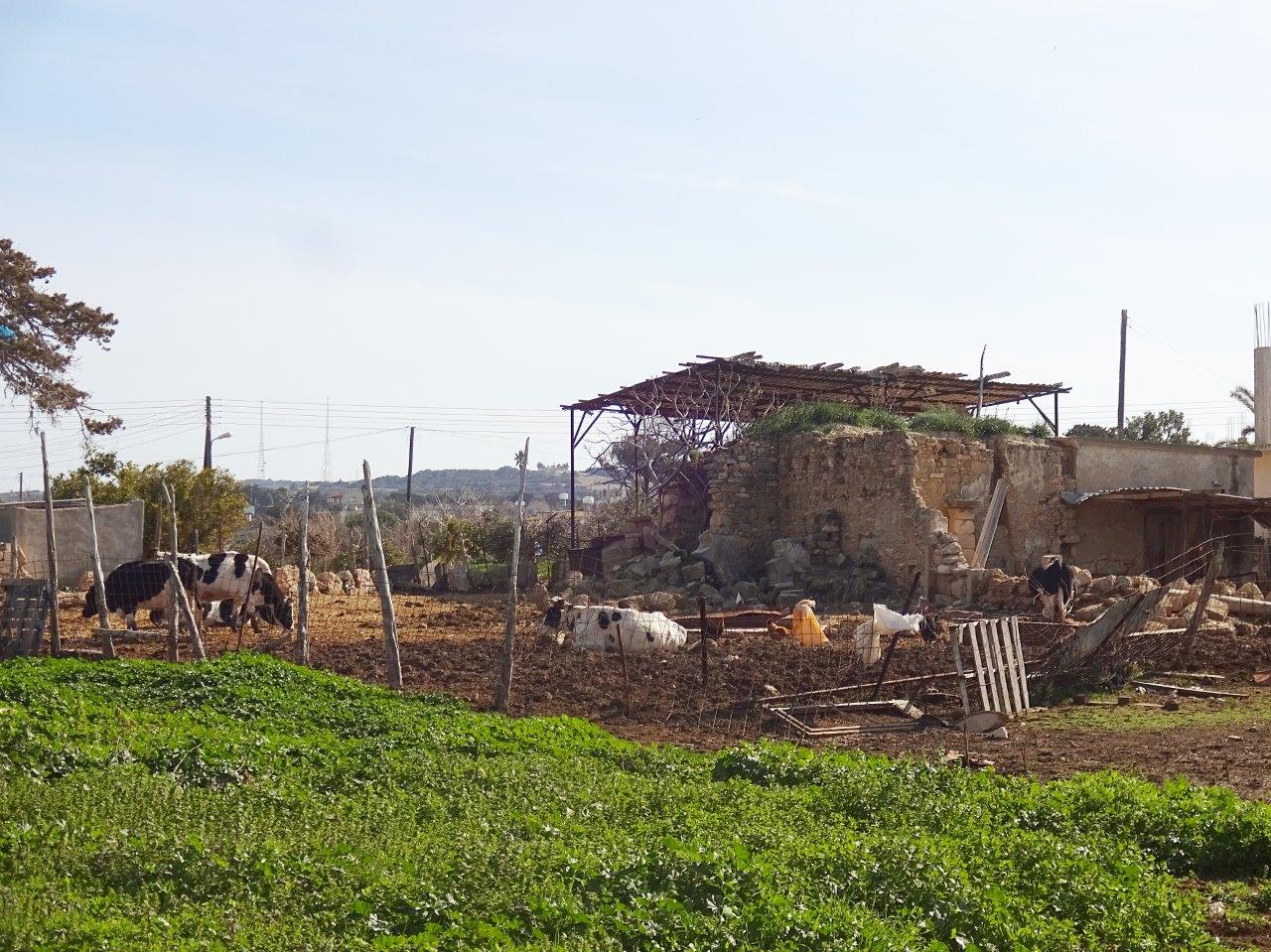 Karpaz Peninsula