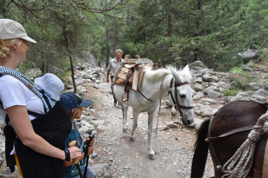 Samaria Gorge