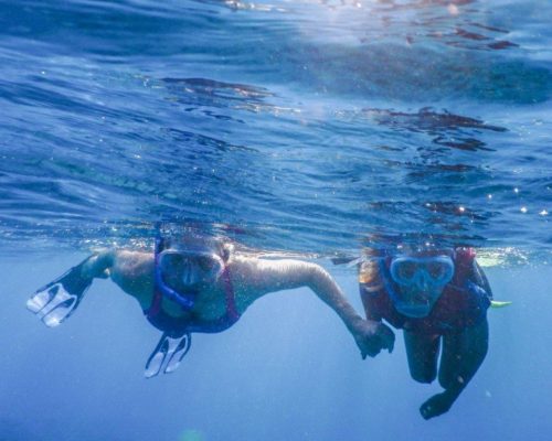 Red Sea Snorkelling – Goobie’s Jordan Highlight