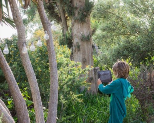 Our Jungle Garden – Goobie Explores with iNaturalist