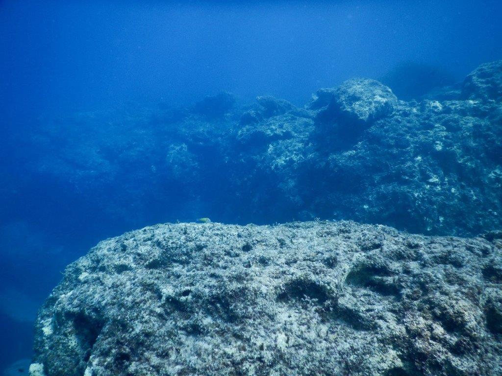 Diving Paphos