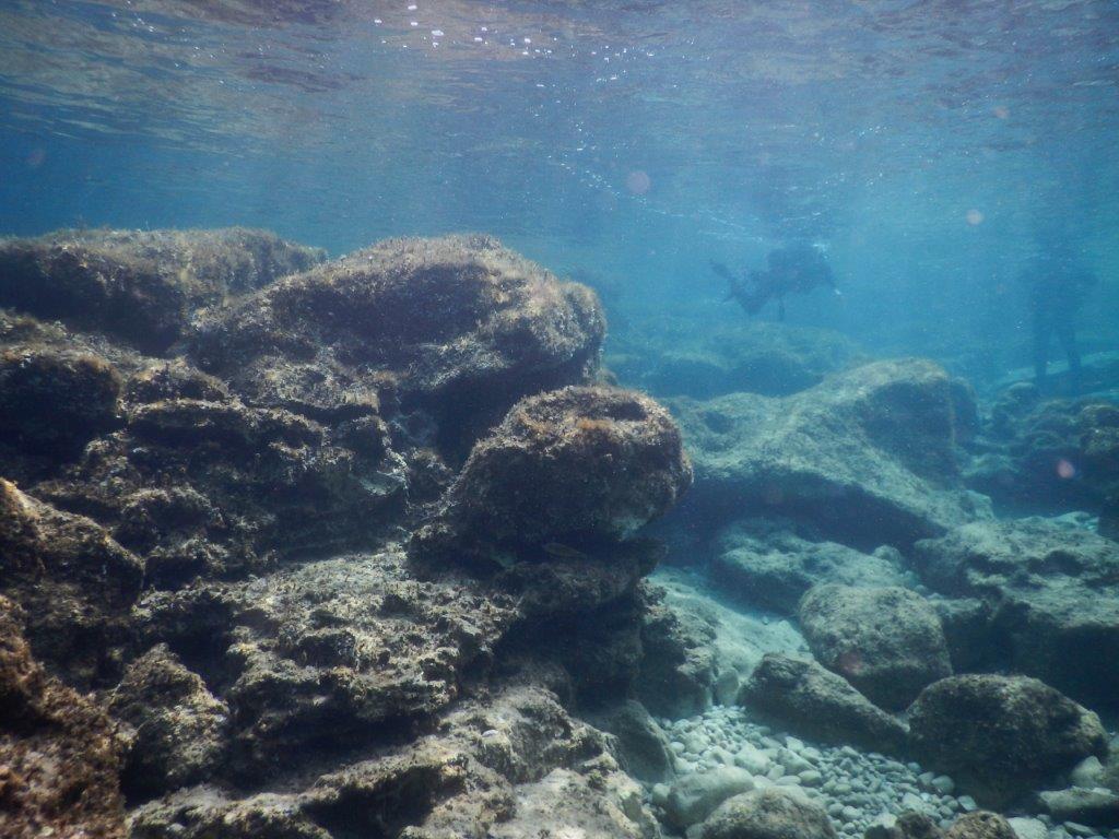 Diving Paphos