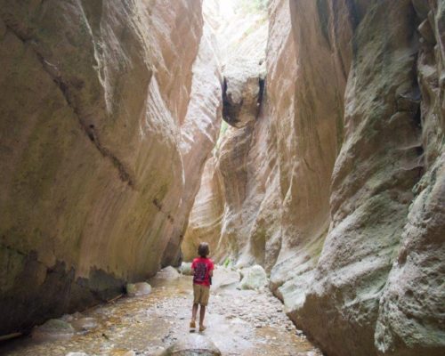 Not Without My Handbag! My Mum Hikes the Avakas Gorge