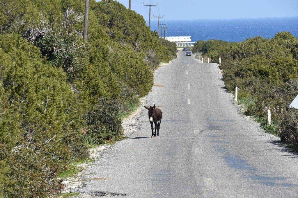 Karpaz Peninsula