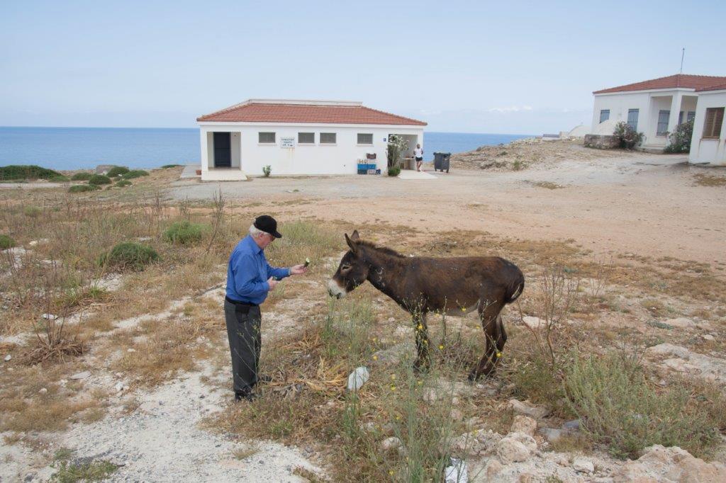 Karpaz Peninsula