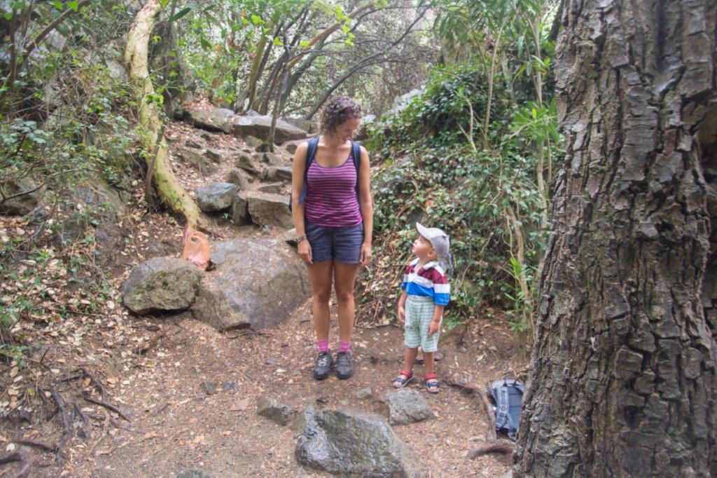 Troodos
