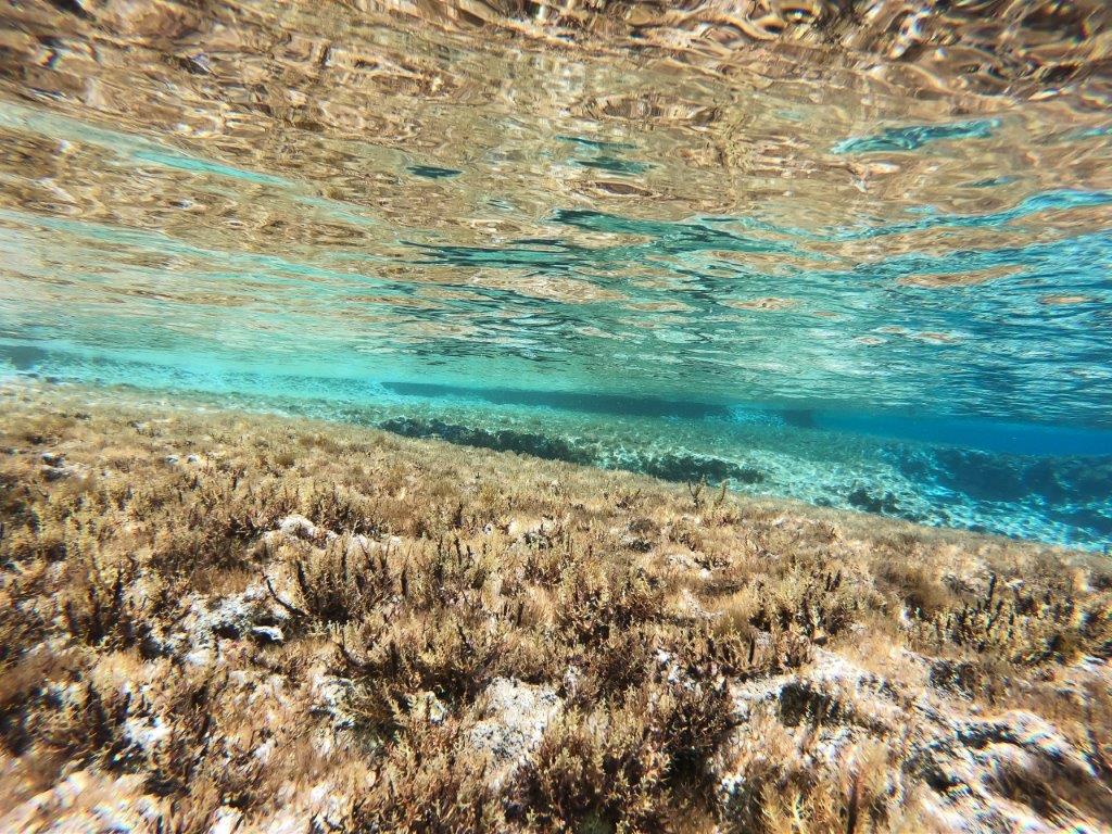 snorkelling Cyprus