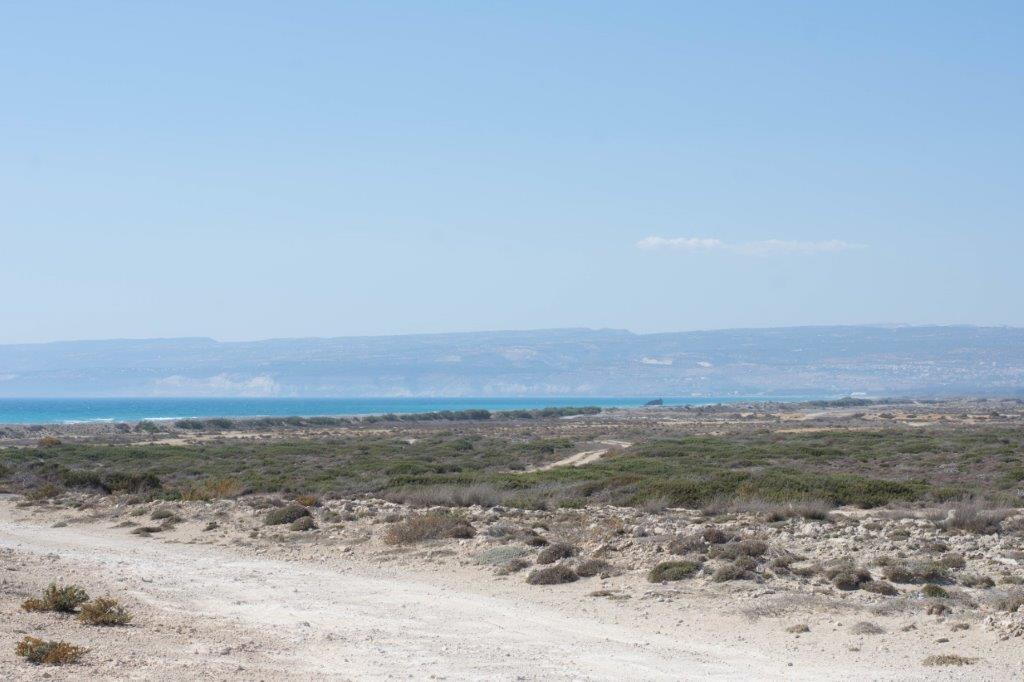 Akrotiri sand dunes