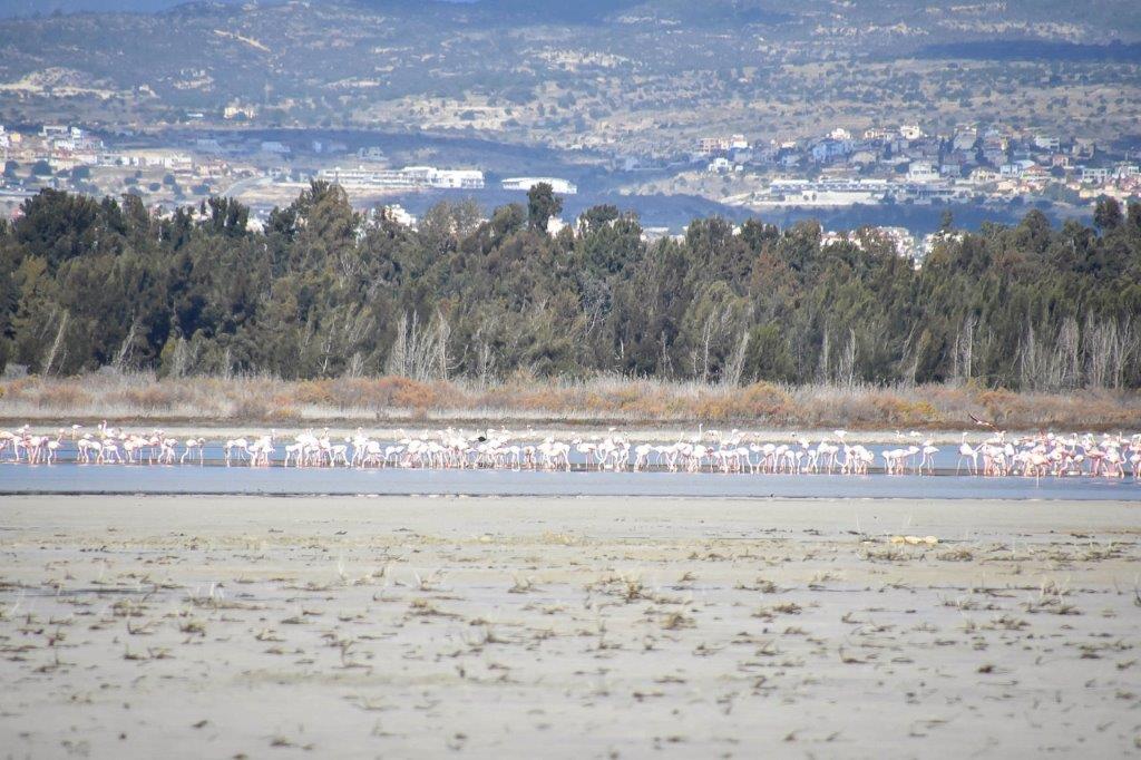 Akrotiri Salt Lake