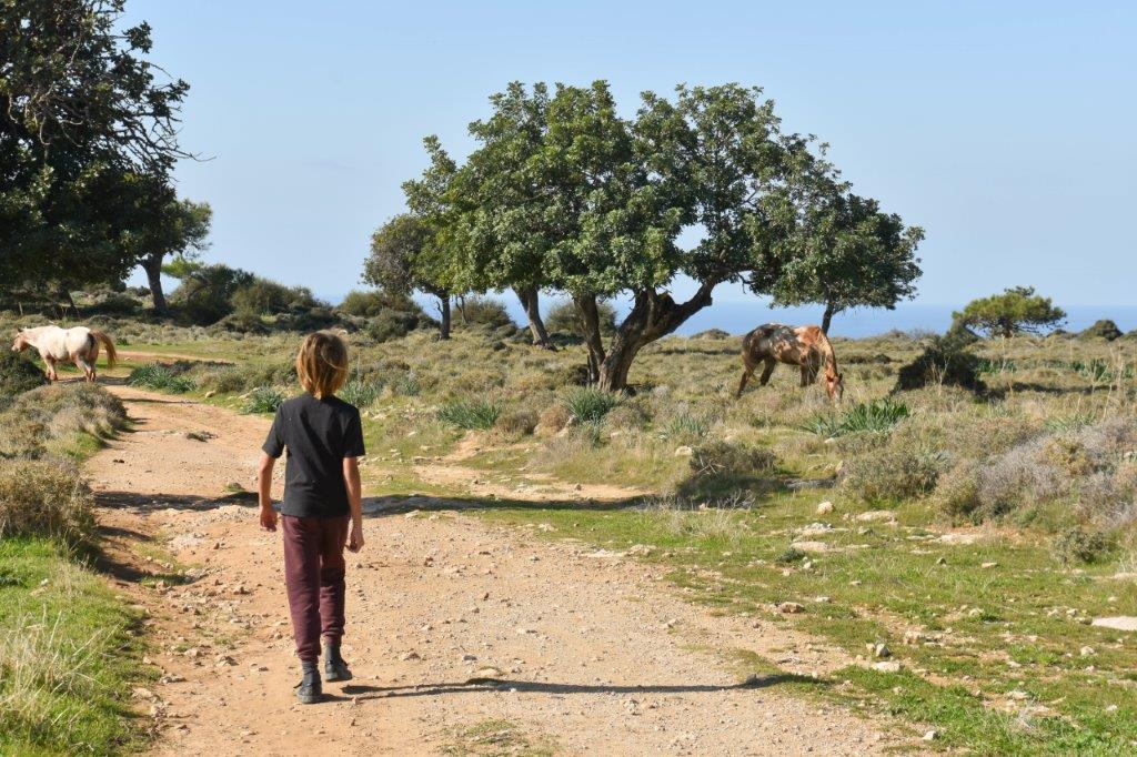 Cyprus walking trails