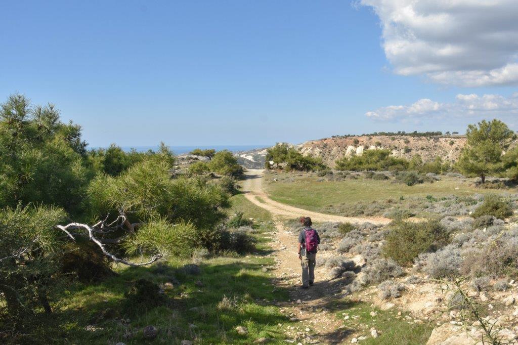 Genesis Aprodite's Trail Pissouri