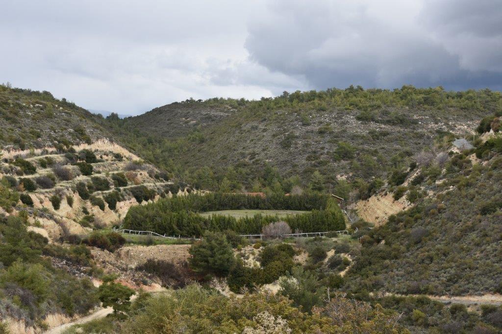 Abandoned  ranch