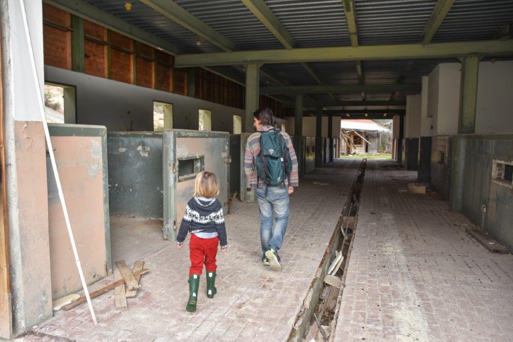 abandoned horse ranch Cyprus