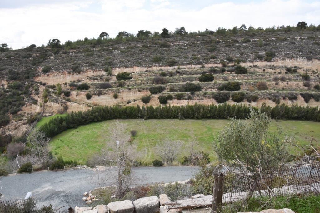 horse ranch Cyprus