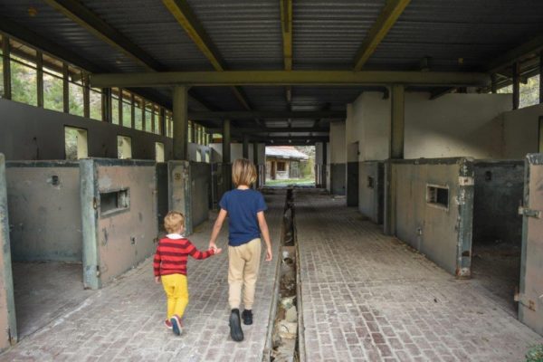 Return to the Abandoned Appaloosa Horse Ranch