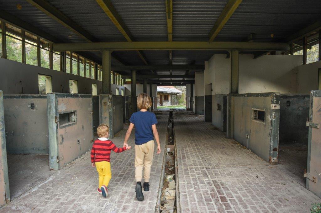 Exploring abandoned ranch