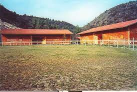 Appaloosa horse ranch