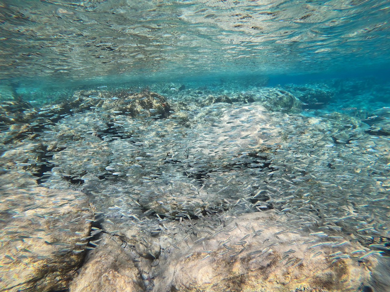 Baths of Aphrodite beach