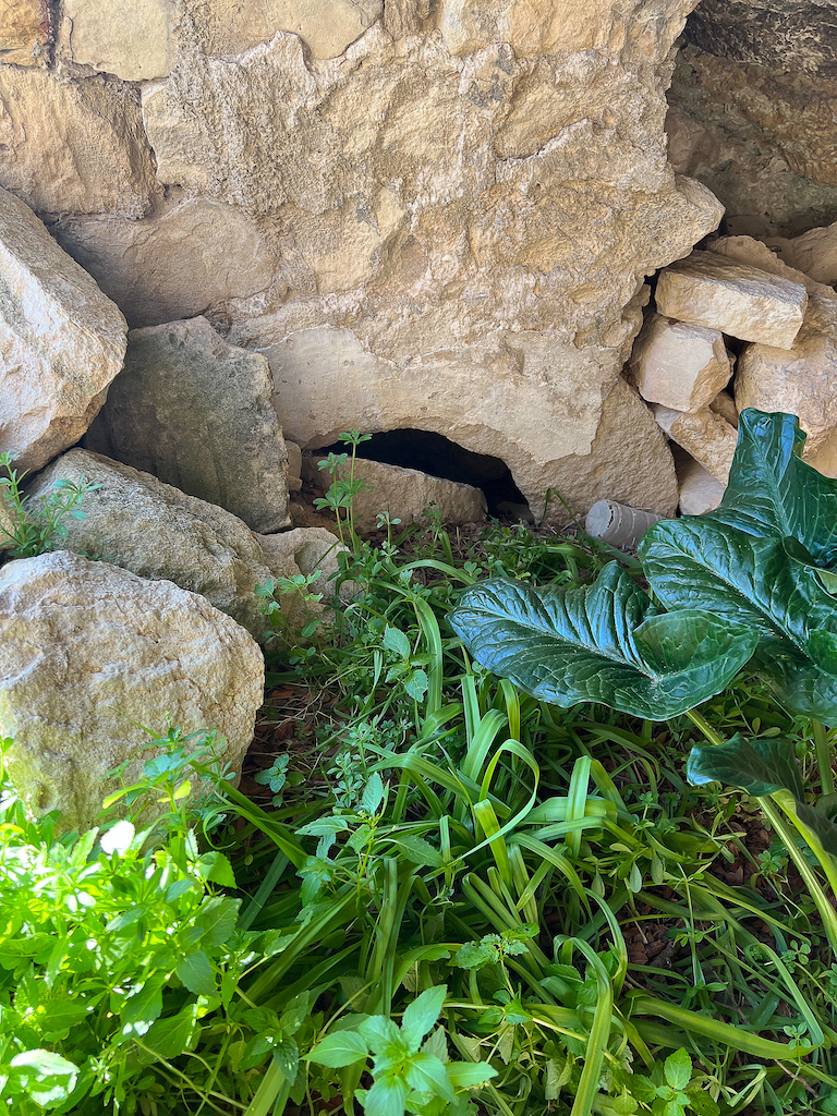 buried church Cyprus