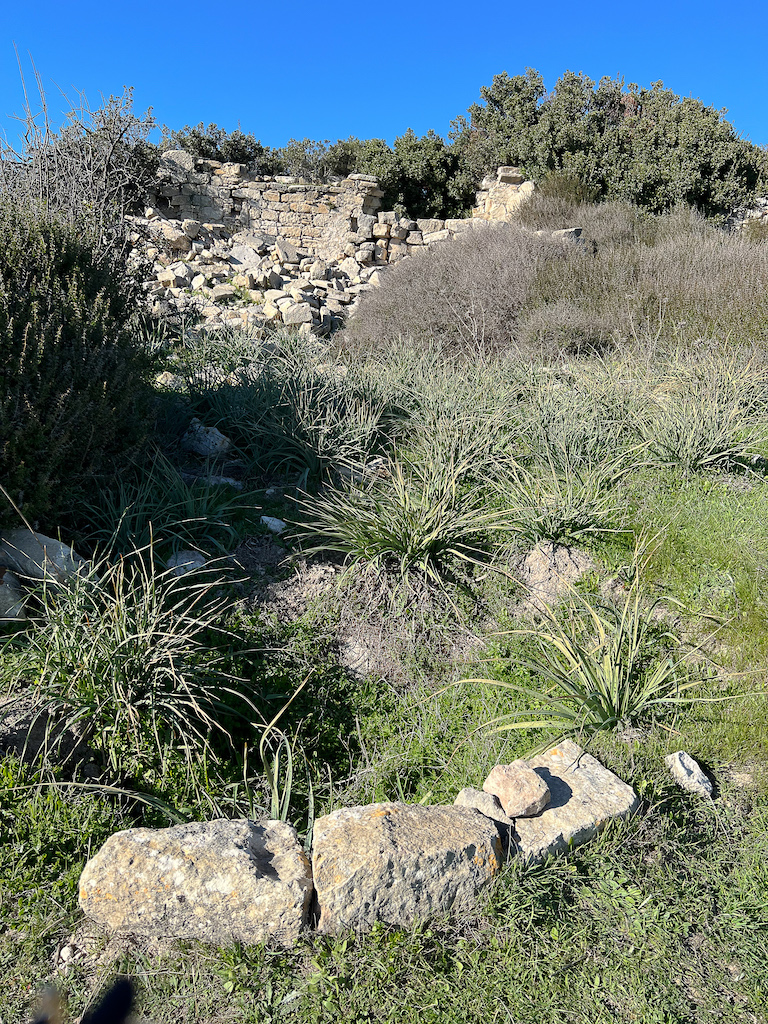 Ancient ruins Cyprus